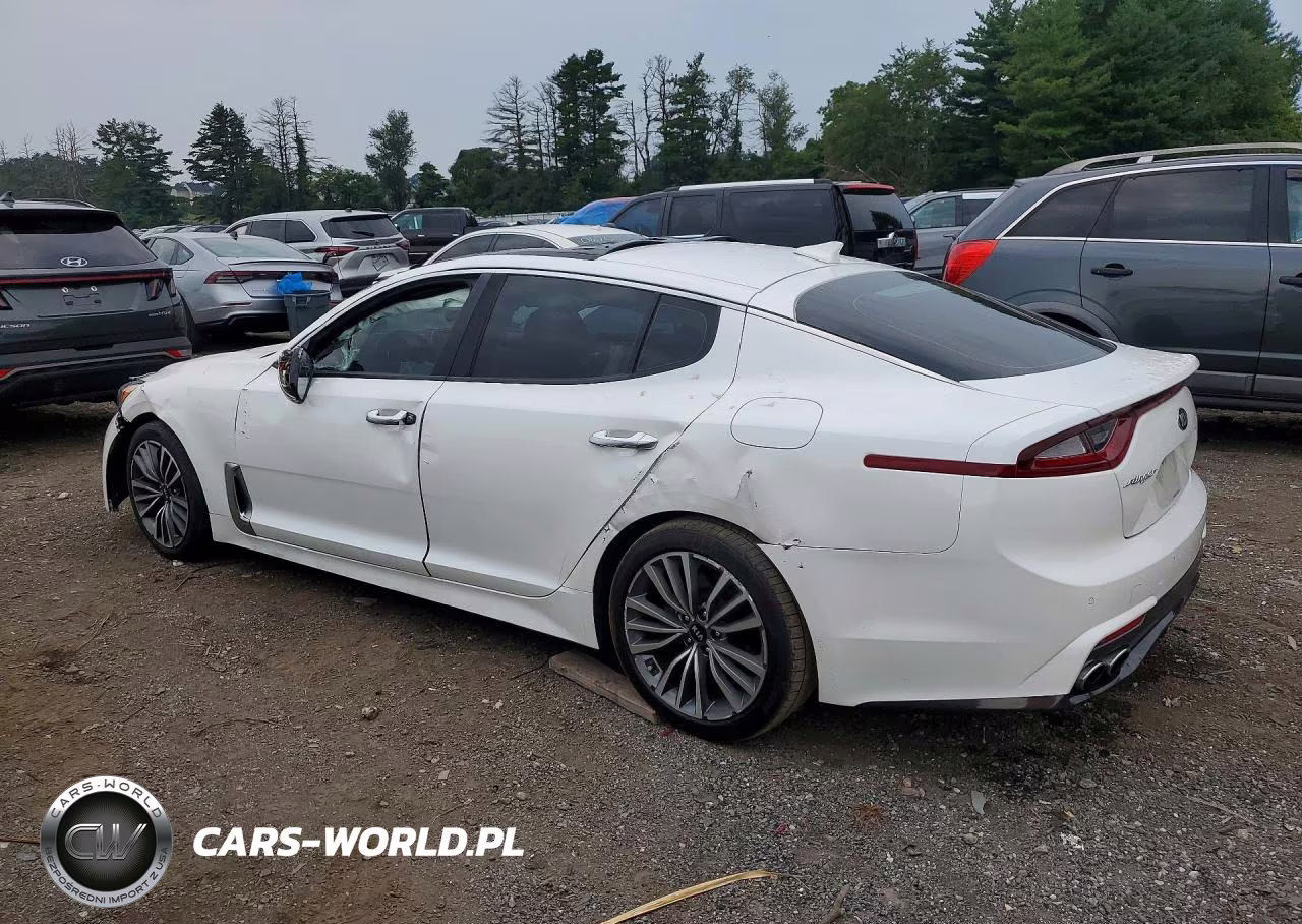 2019 Kia Stinger Premium VIN:KNAE25LA0K6059614 - 2