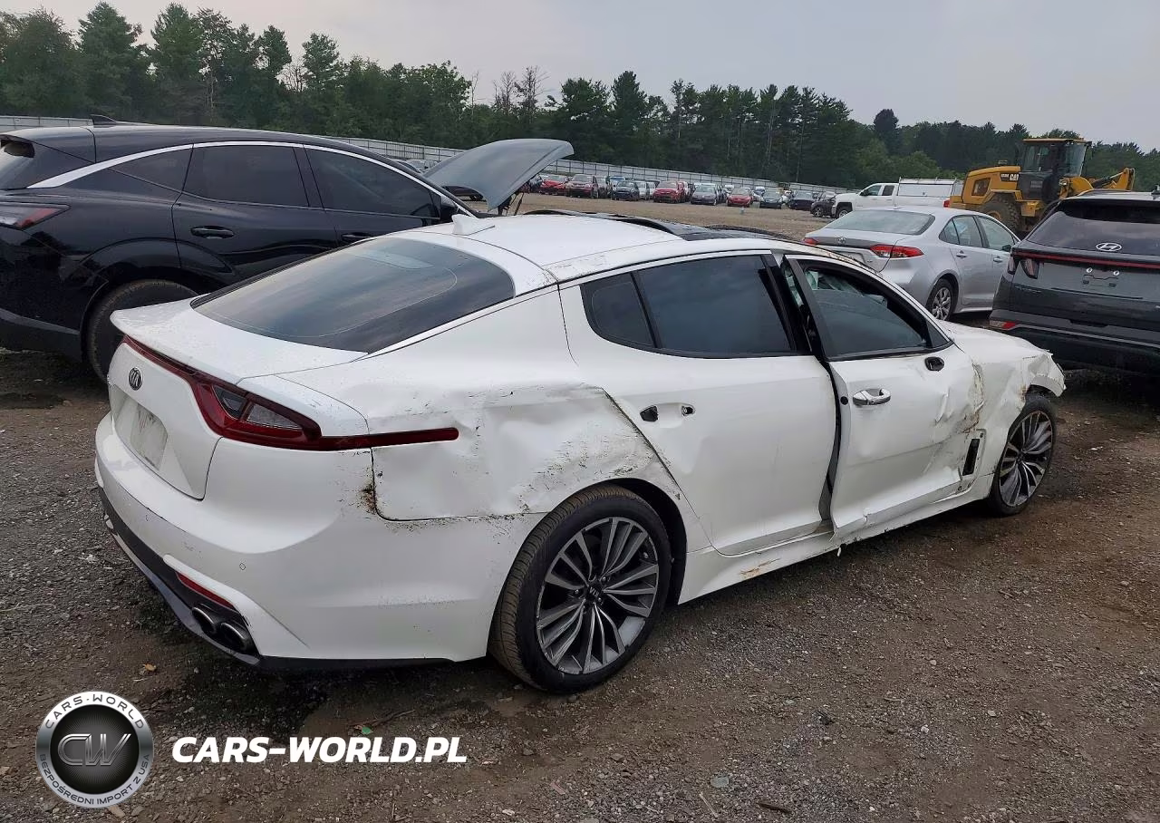 2019 Kia Stinger Premium VIN:KNAE25LA0K6059614 - 3