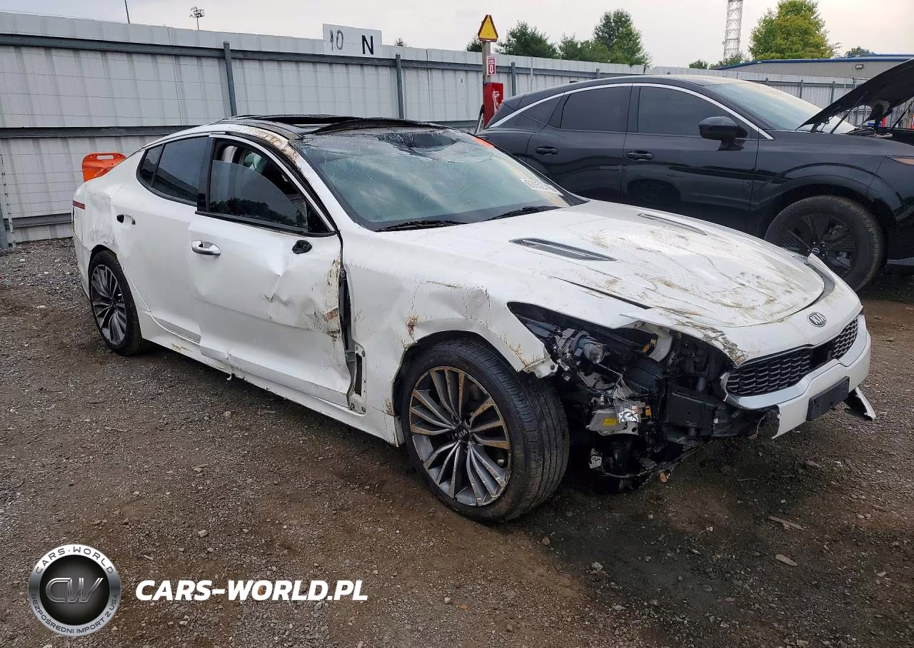 2019 Kia Stinger Premium VIN:KNAE25LA0K6059614 - 4