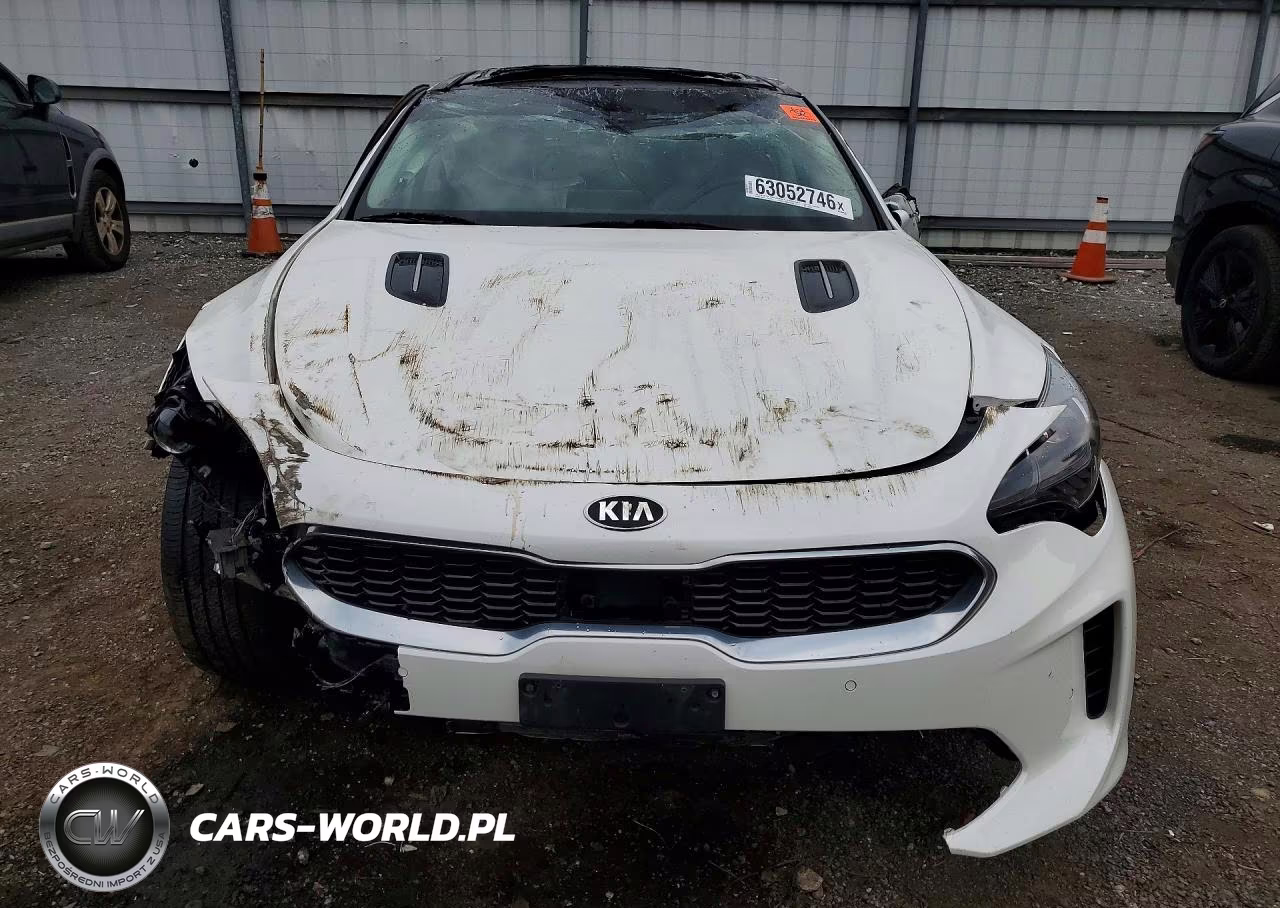 2019 Kia Stinger Premium VIN:KNAE25LA0K6059614 - 5