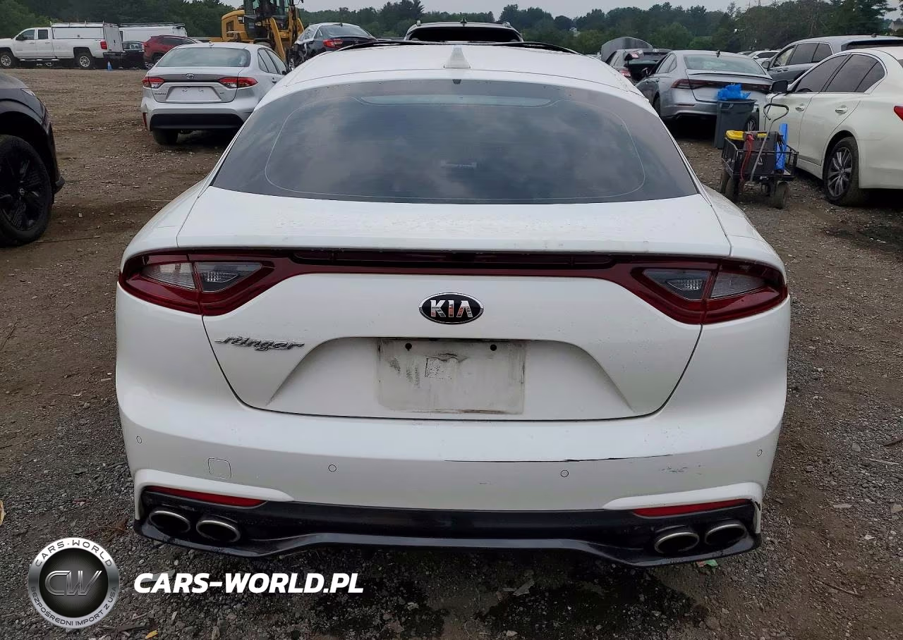 2019 Kia Stinger Premium VIN:KNAE25LA0K6059614 - 6