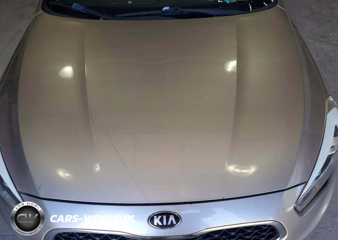 2014 Kia Cadenza Premium VIN:KNALN4D78E5128667 - 11
