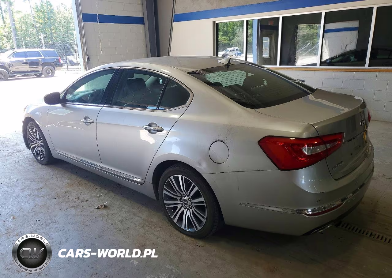 2014 Kia Cadenza Premium VIN:KNALN4D78E5128667 - 2