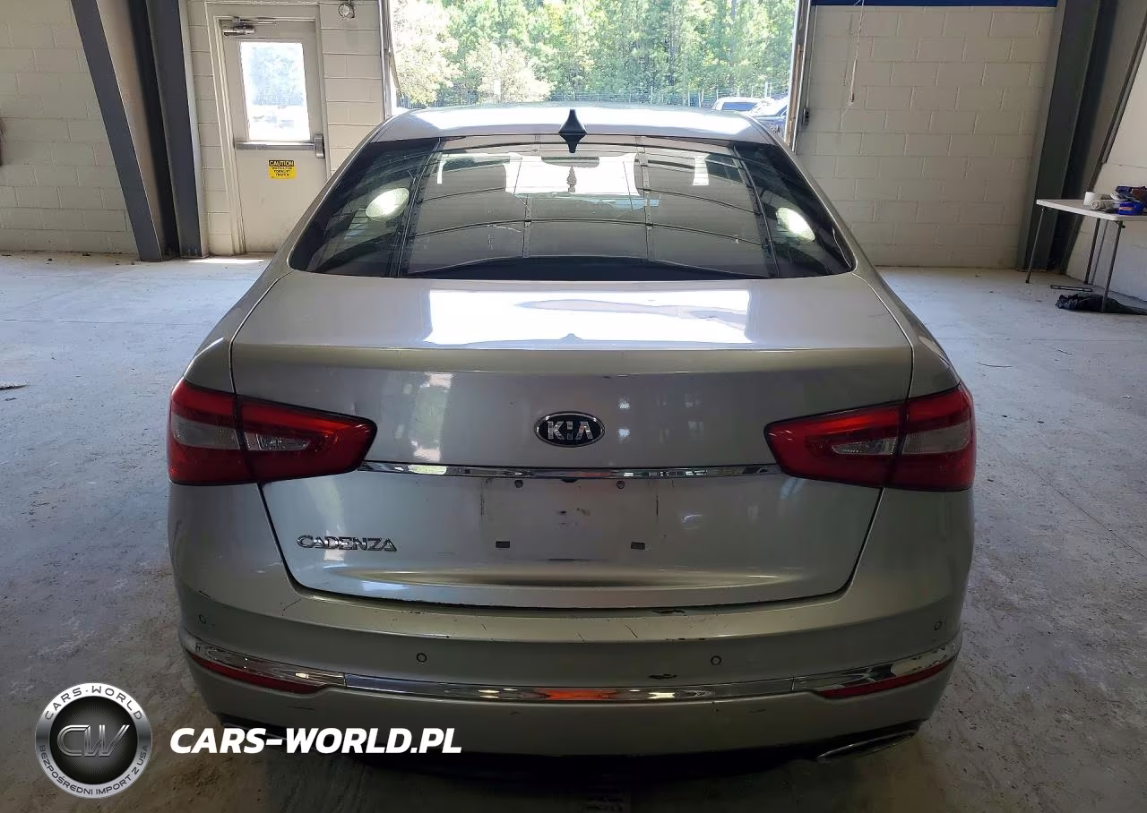 2014 Kia Cadenza Premium VIN:KNALN4D78E5128667 - 6