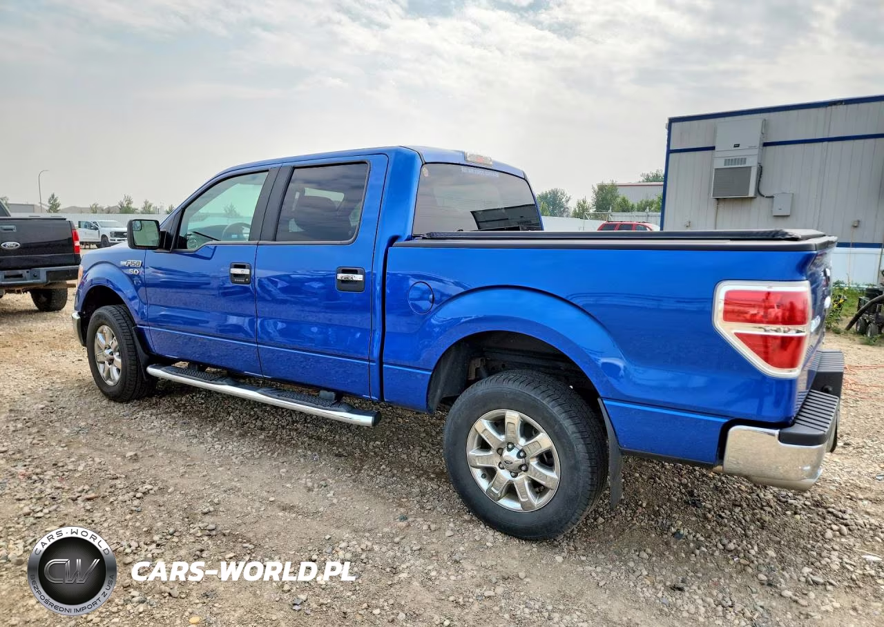 2013 Ford F150 Supercrew VIN:1FTFW1EF0DKE17768 - 2