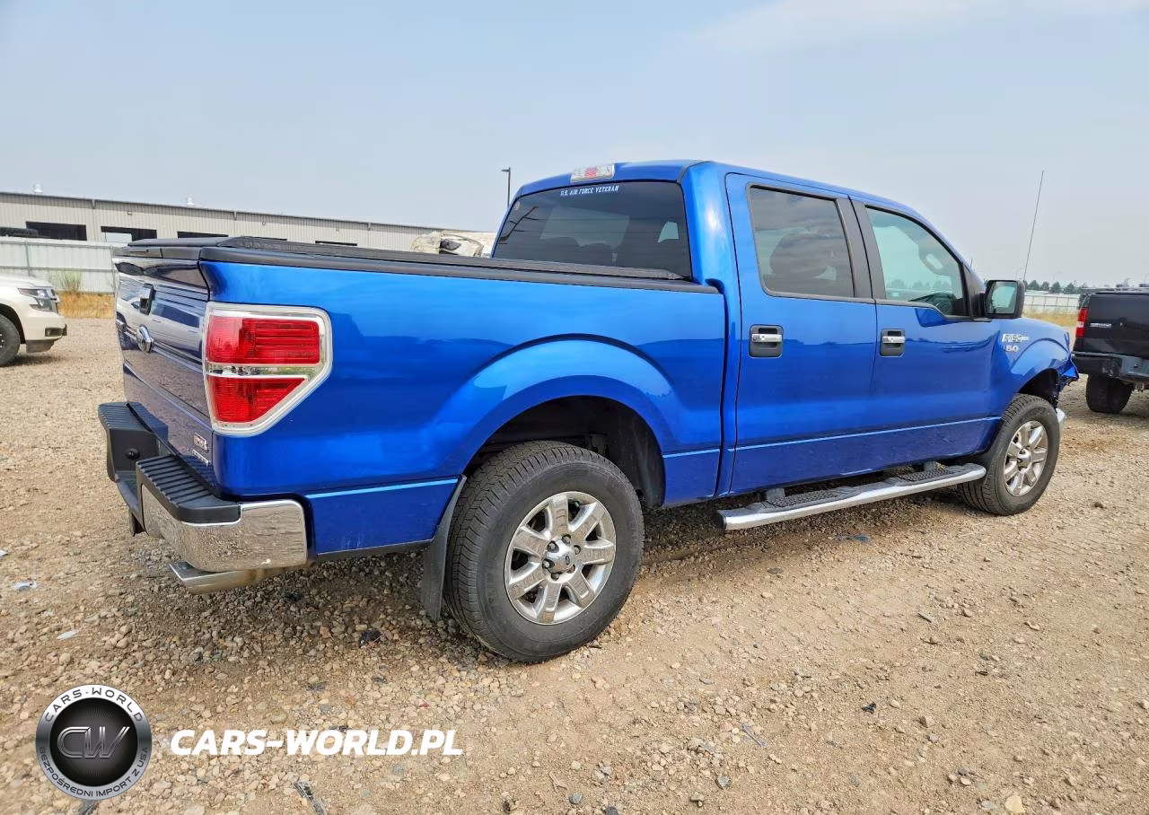 2013 Ford F150 Supercrew VIN:1FTFW1EF0DKE17768 - 3