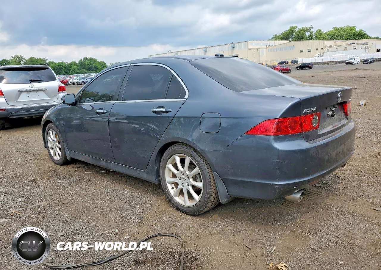 2006 Acura Tsx VIN:JH4CL96866C009829 - 2