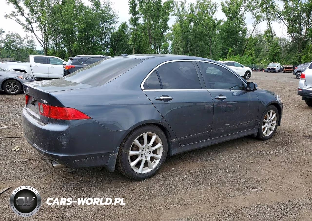 2006 Acura Tsx VIN:JH4CL96866C009829 - 3