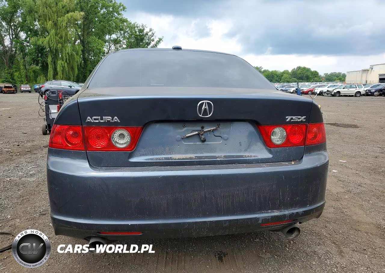 2006 Acura Tsx VIN:JH4CL96866C009829 - 6
