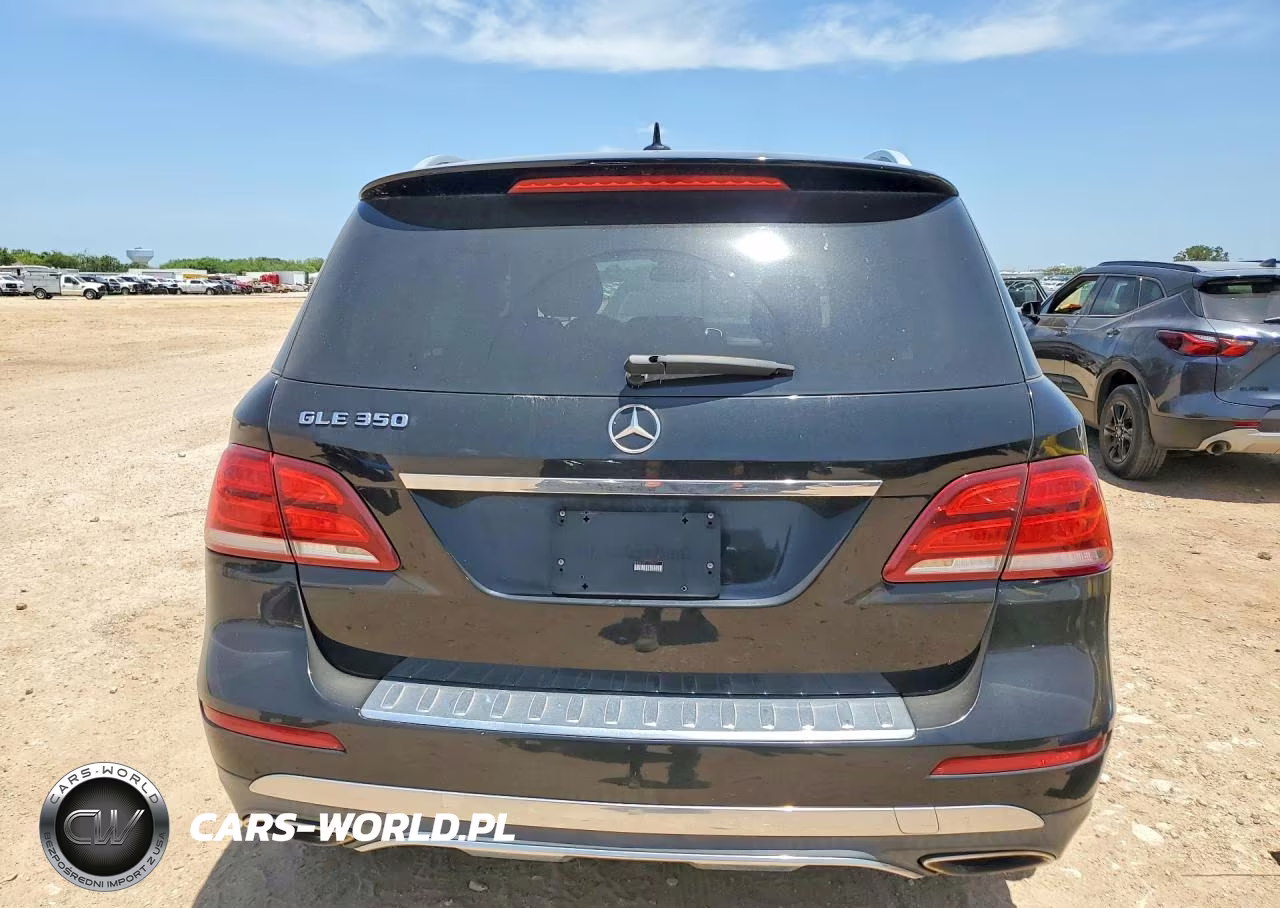 2017 Mercedes-Benz Gle 350 VIN:4JGDA5JB6HA888007 - 6