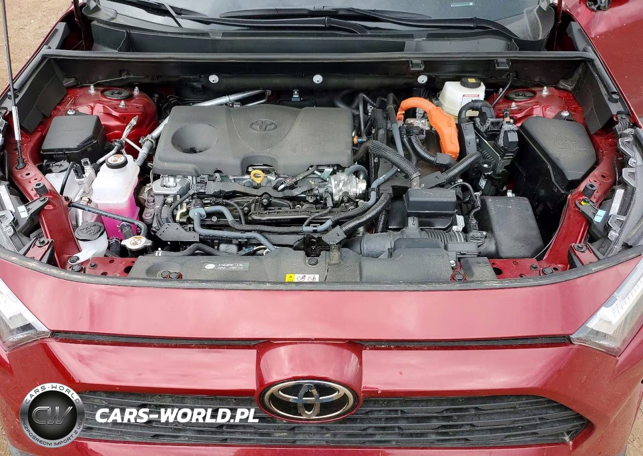 2025 Toyota Rav4 Hybrid Xle VIN:4T3RWRFV1SU191228 - 12