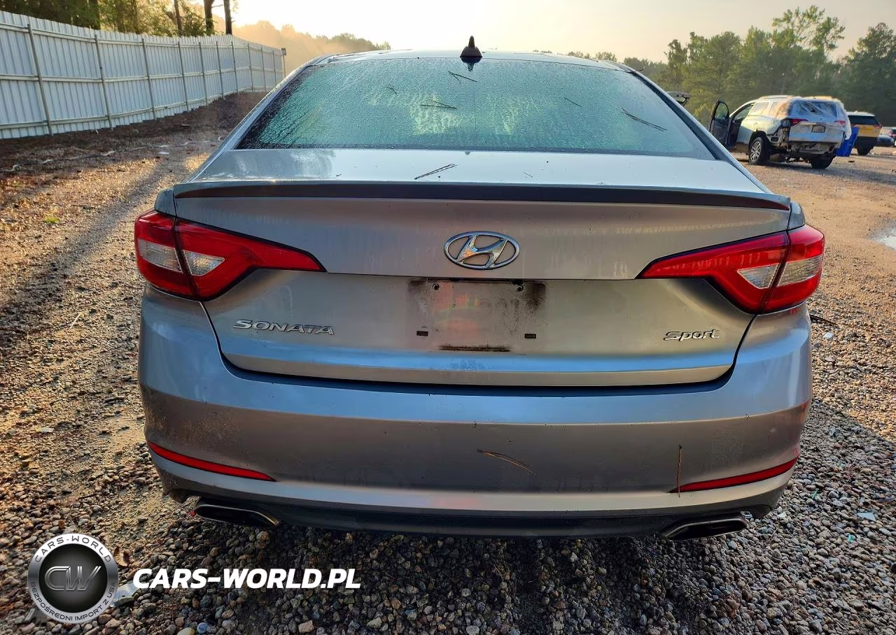 2016 Hyundai Sonata Sport VIN:5NPE34AF3GH389267 - 6
