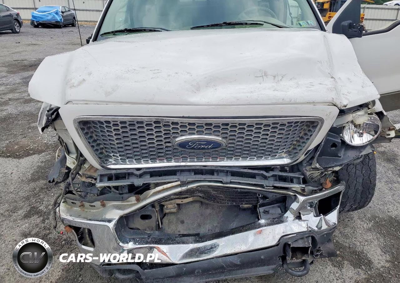 2004 Ford F150 VIN:1FTPX14524NC71849 - 11