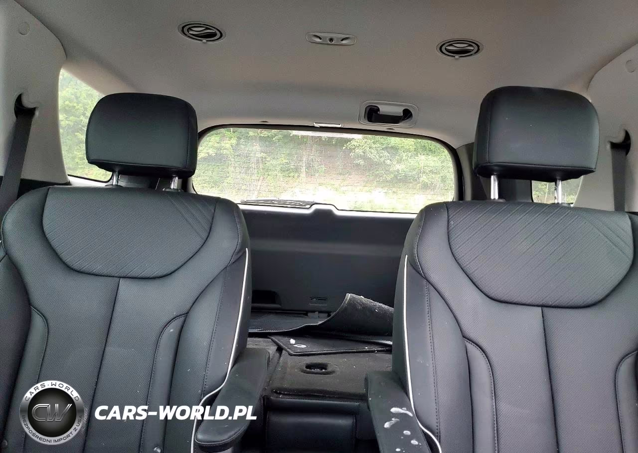 2025 Hyundai Palisade Sel Premium VIN:KM8R4DGE4SU918068 - 10