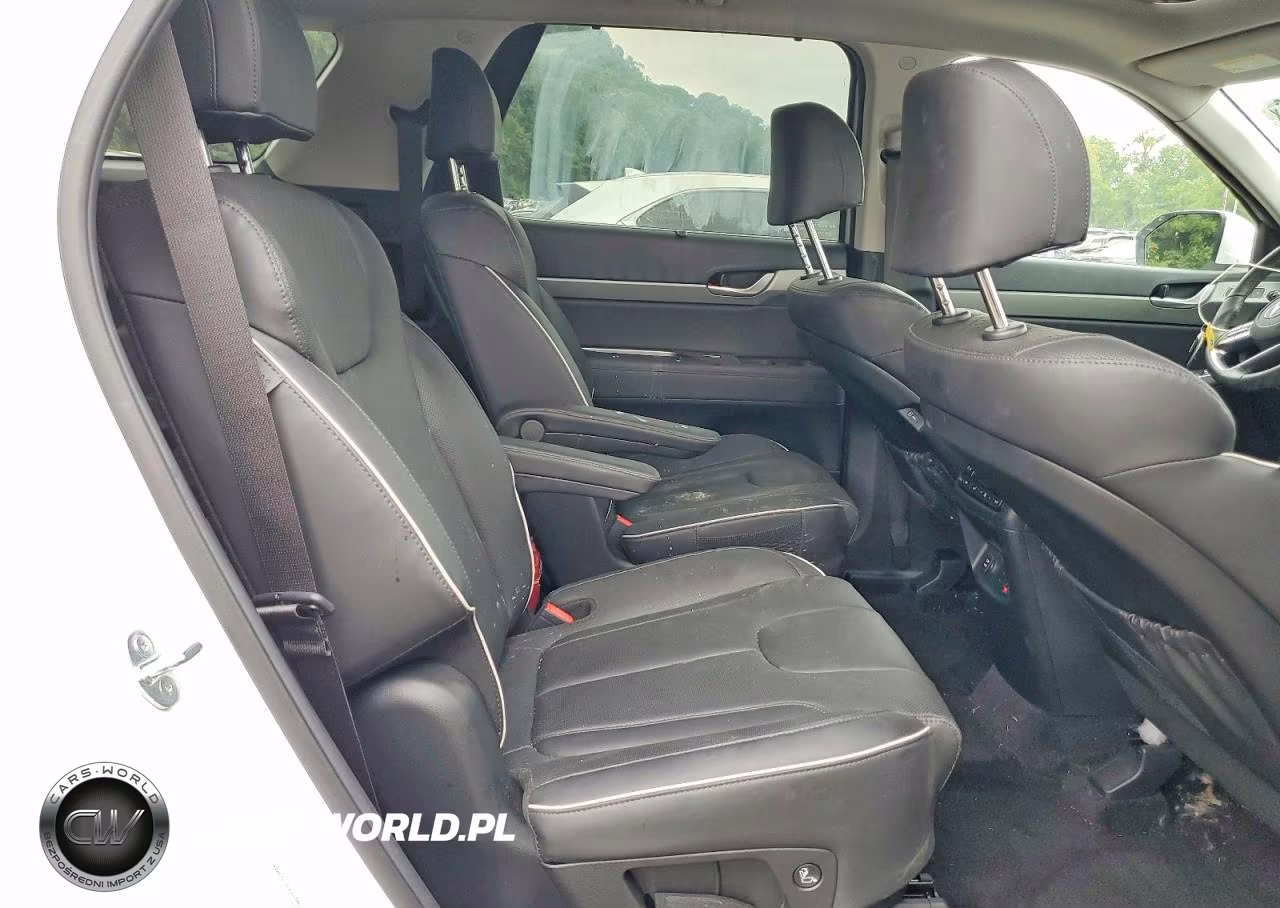 2025 Hyundai Palisade Sel Premium VIN:KM8R4DGE4SU918068 - 11