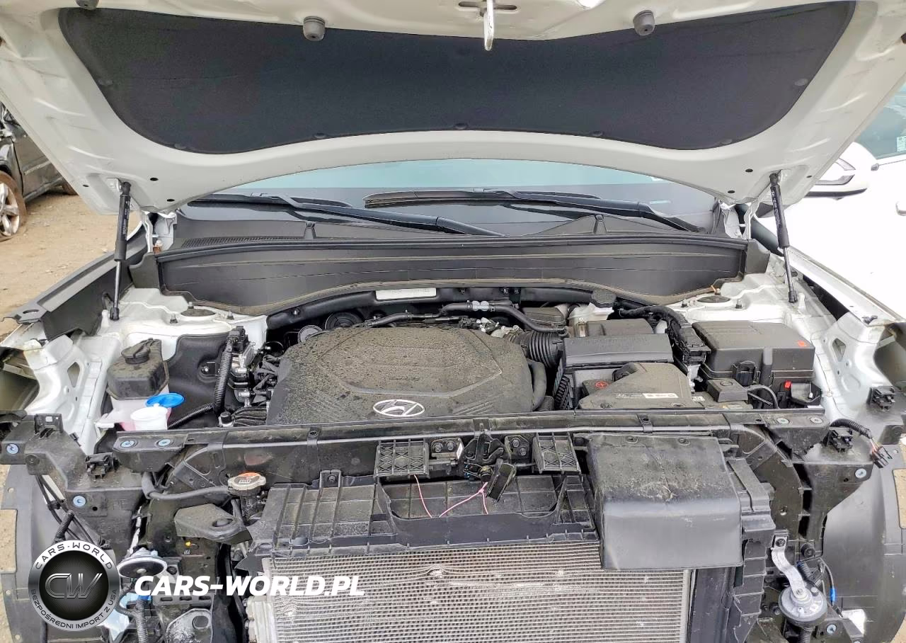 2025 Hyundai Palisade Sel Premium VIN:KM8R4DGE4SU918068 - 12