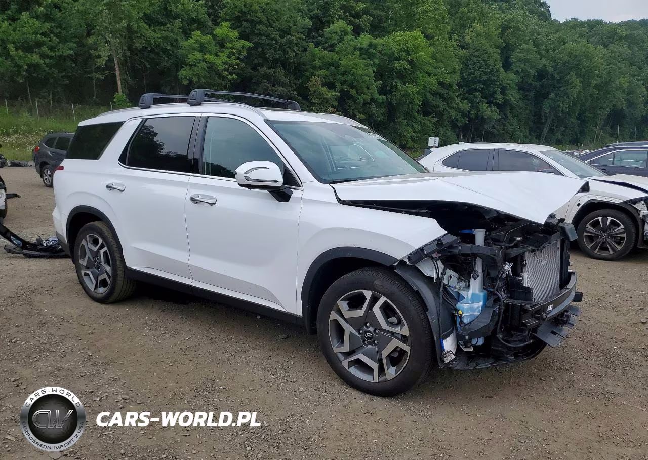 2025 Hyundai Palisade Sel Premium VIN:KM8R4DGE4SU918068 - 4