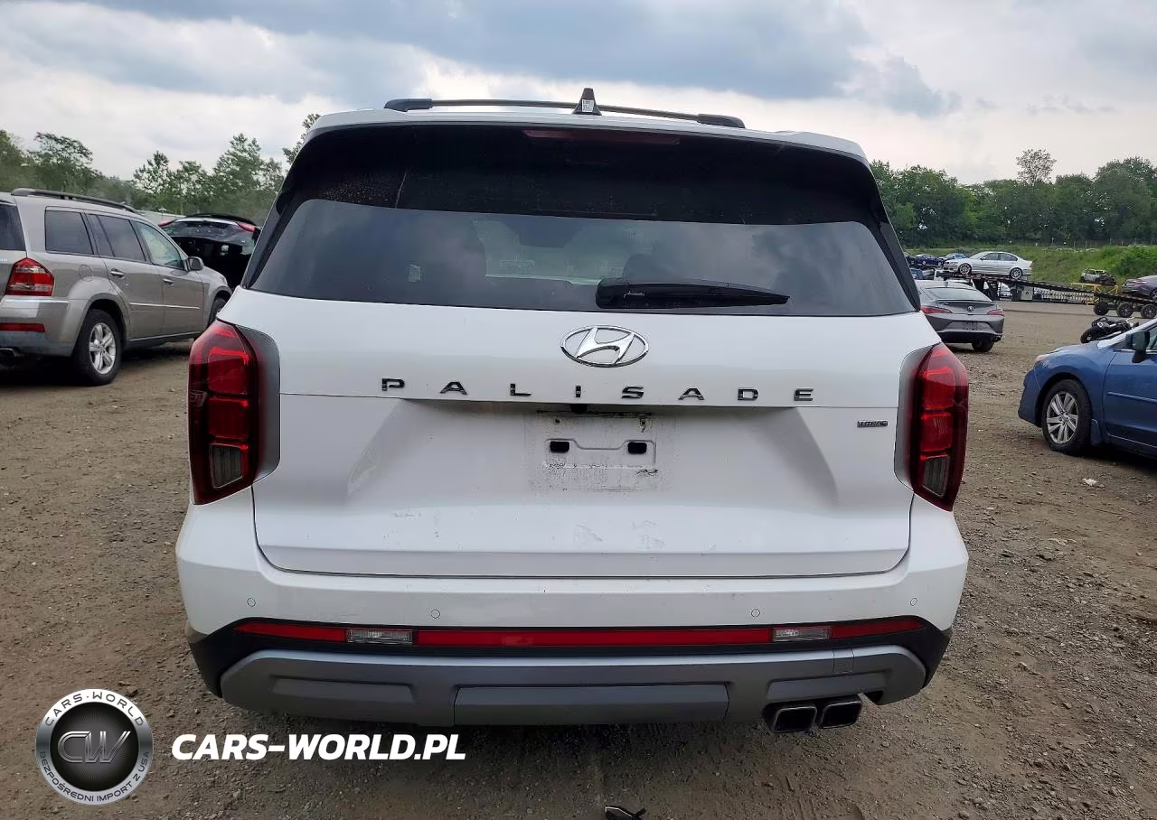2025 Hyundai Palisade Sel Premium VIN:KM8R4DGE4SU918068 - 6