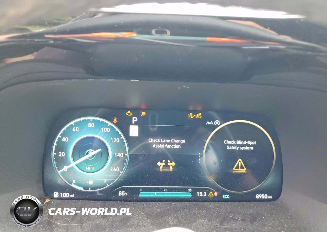 2025 Hyundai Palisade Sel Premium VIN:KM8R4DGE4SU918068 - 9