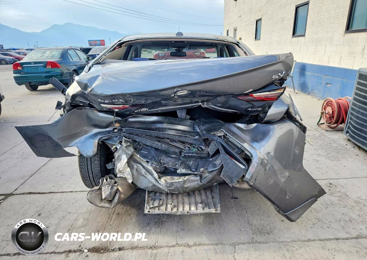 2019 Nissan Altima Sv VIN:1N4BL4DW0KN316614 - 6