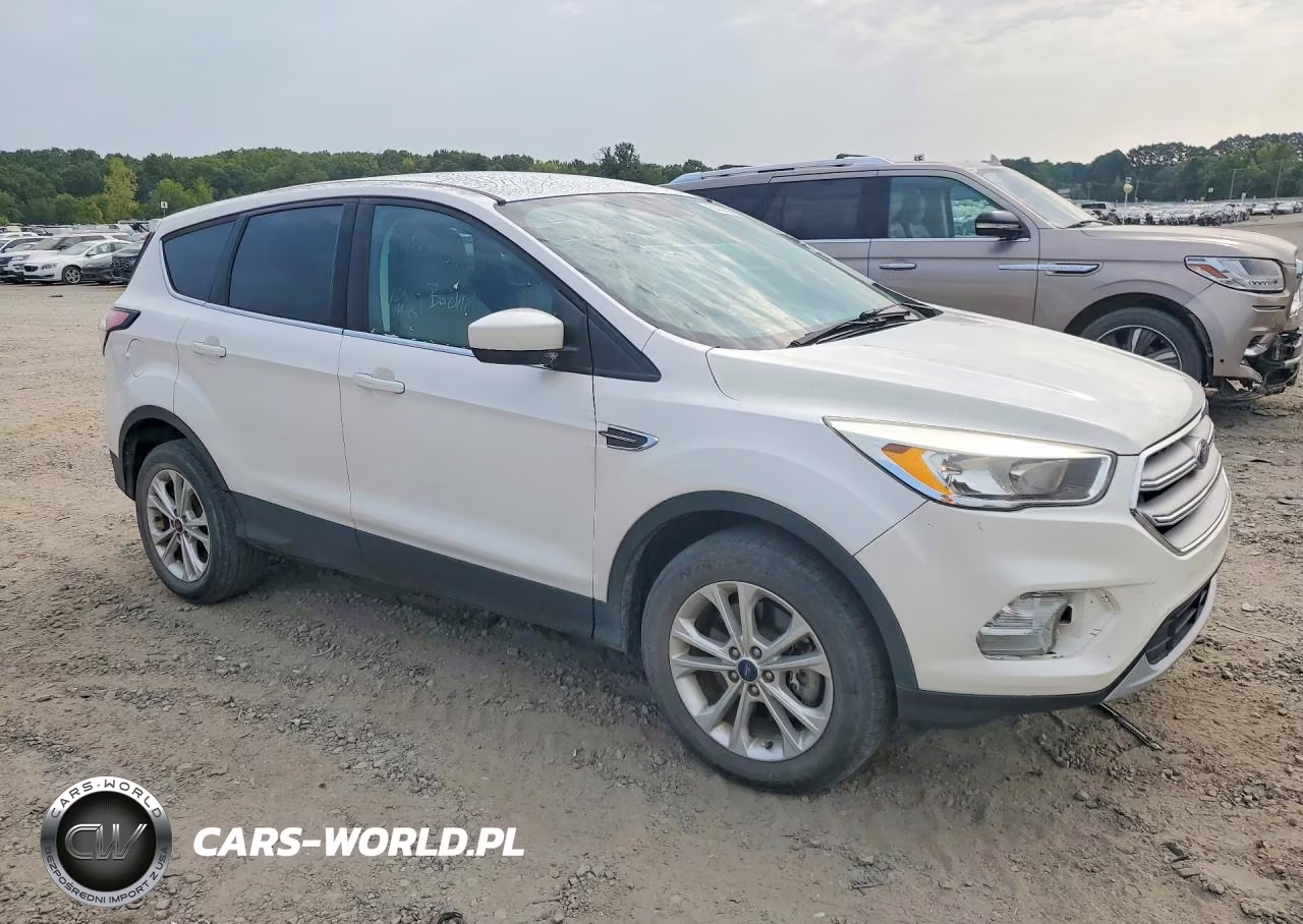 2017 Ford Escape Se VIN:1FMCU0G92HUE30134 - 4