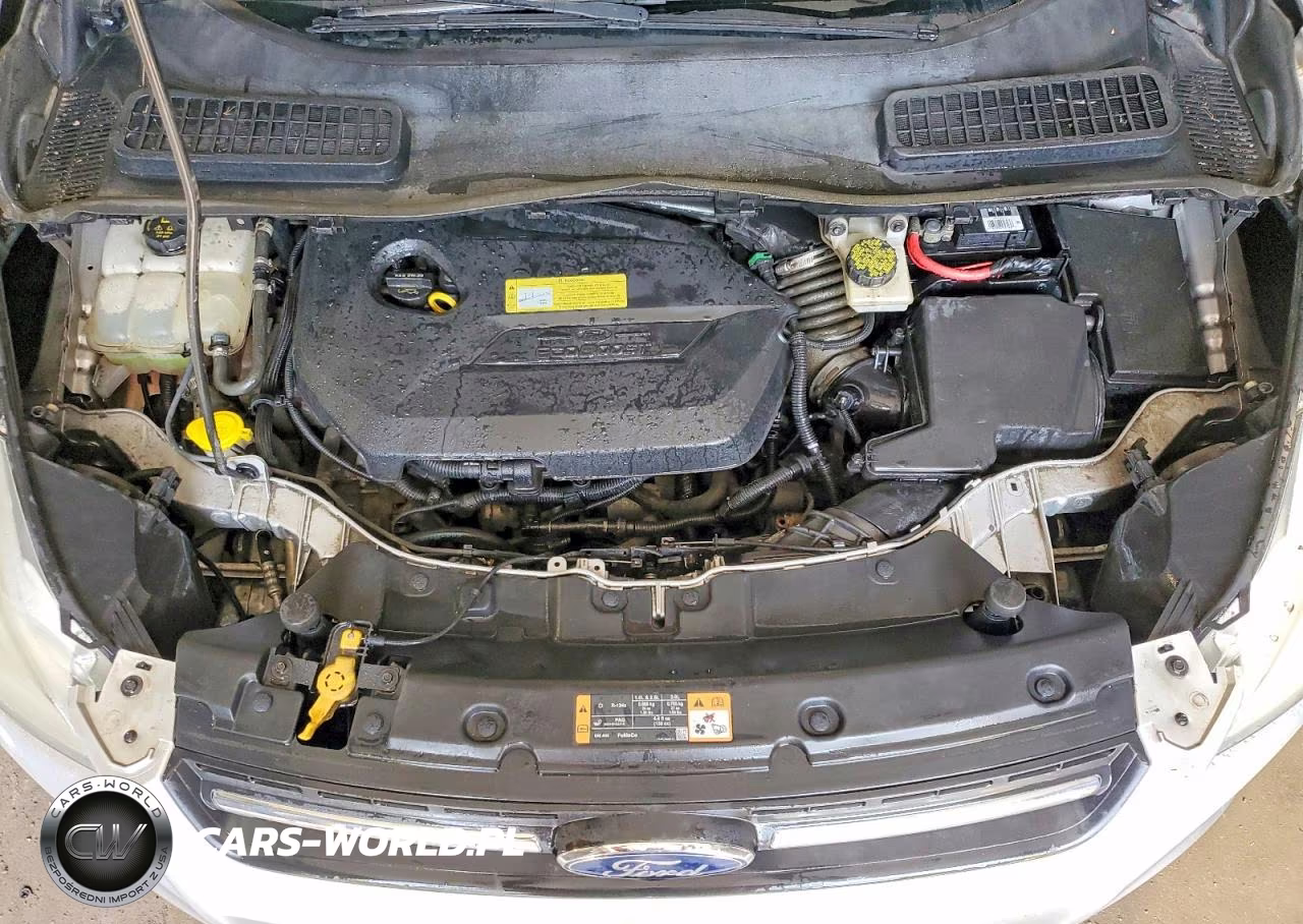 2014 Ford Escape Se VIN:1FMCU9GX7EUA49362 - 12
