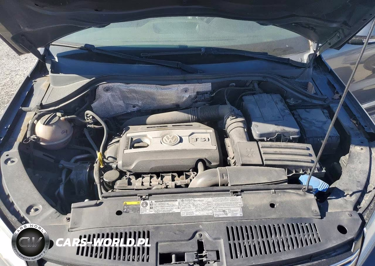 2016 Volkswagen Tiguan S VIN:WVGBV7AX5GW026255 - 12
