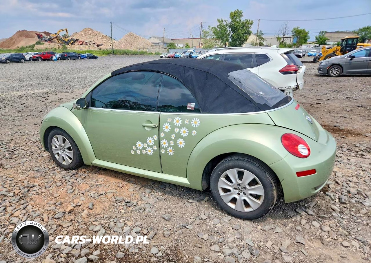 2009 Volkswagen New Beetle S VIN:3VWRF31Y39M406390 - 2