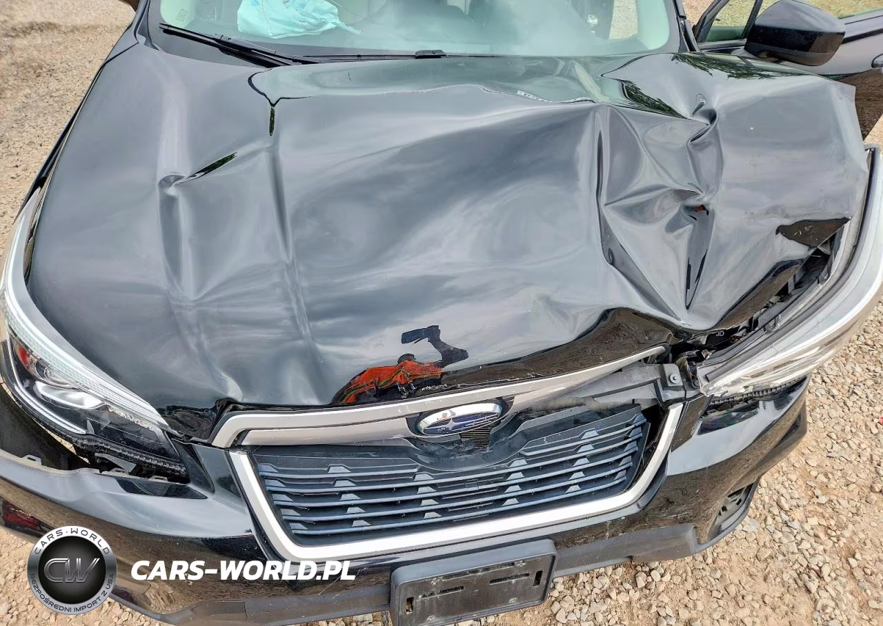 2019 Subaru Forester Premium VIN:JF2SKAGC6KH514028 - 12