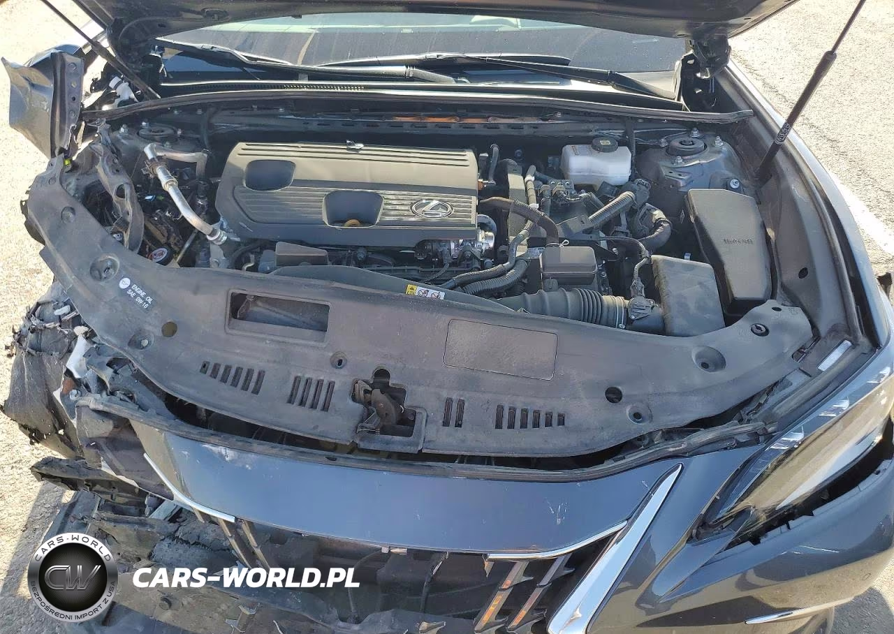 2025 Lexus Es 300H Ultra Luxury VIN:58AFA1C10SU072530 - 11