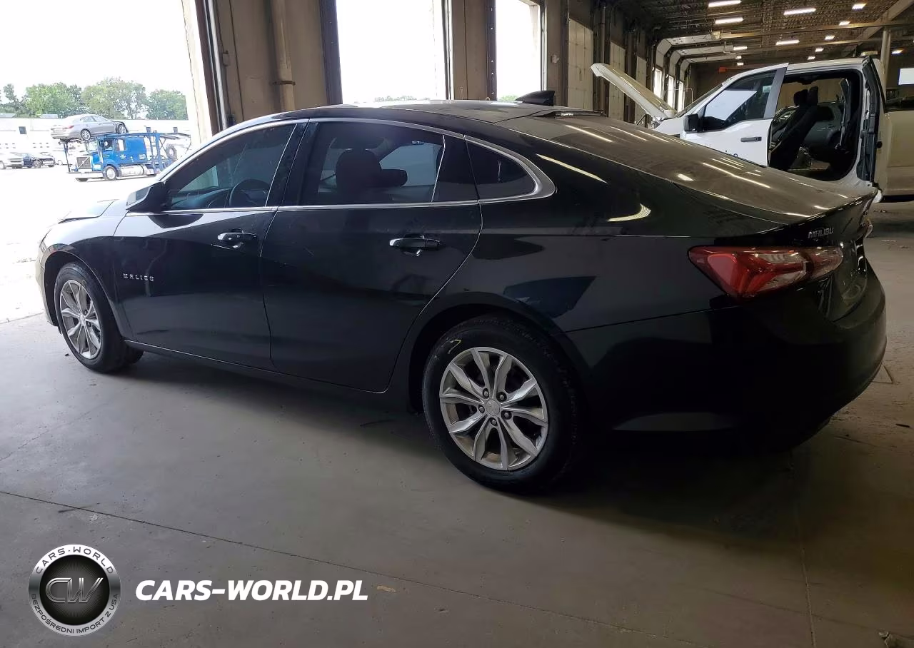 2019 Chevrolet Malibu Lt VIN:1G1ZD5STXKF139108 - 2