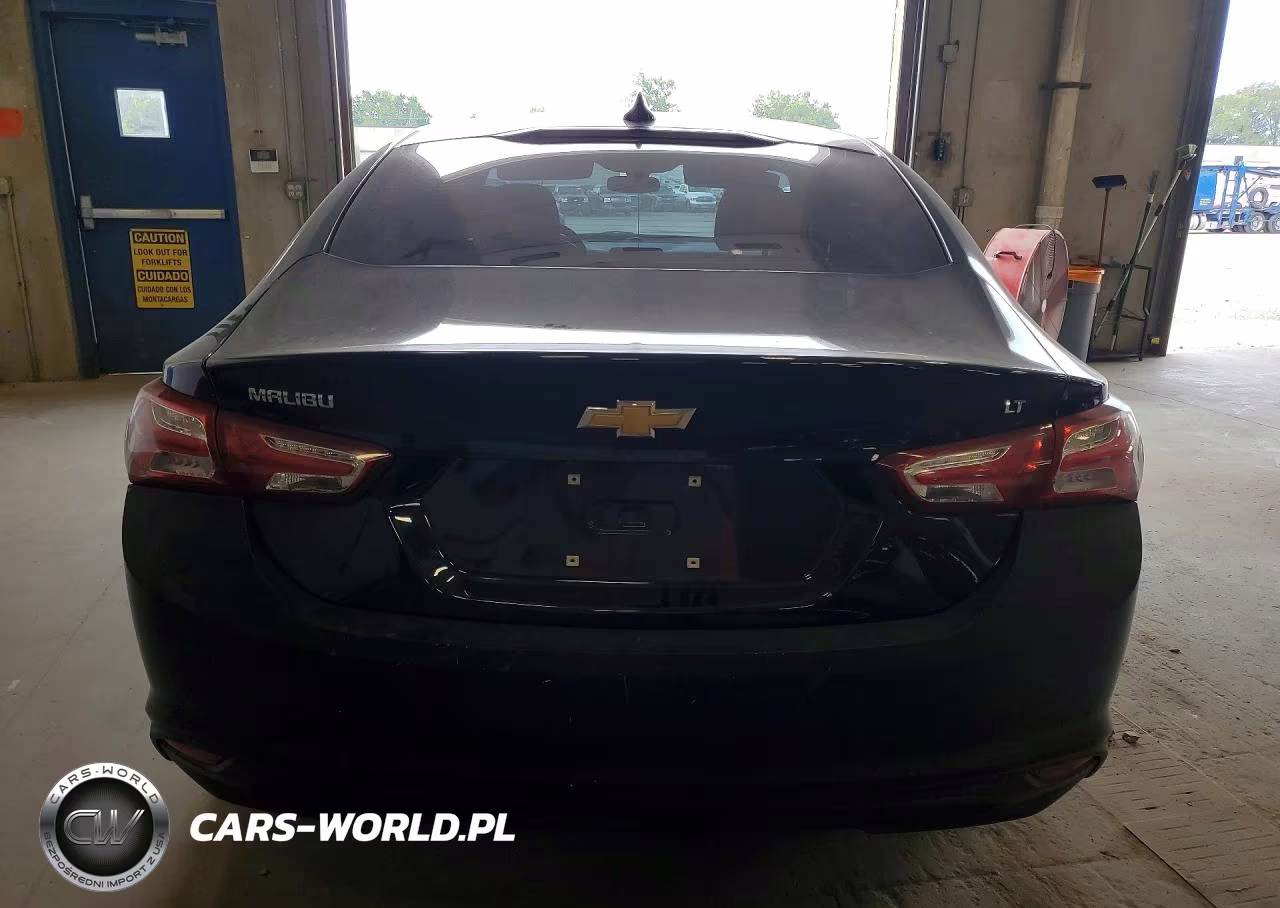 2019 Chevrolet Malibu Lt VIN:1G1ZD5STXKF139108 - 6