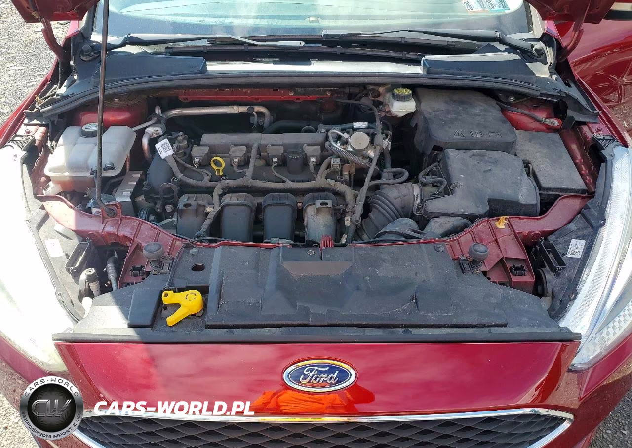 2017 Ford Focus Se VIN:1FADP3K24HL240925 - 11