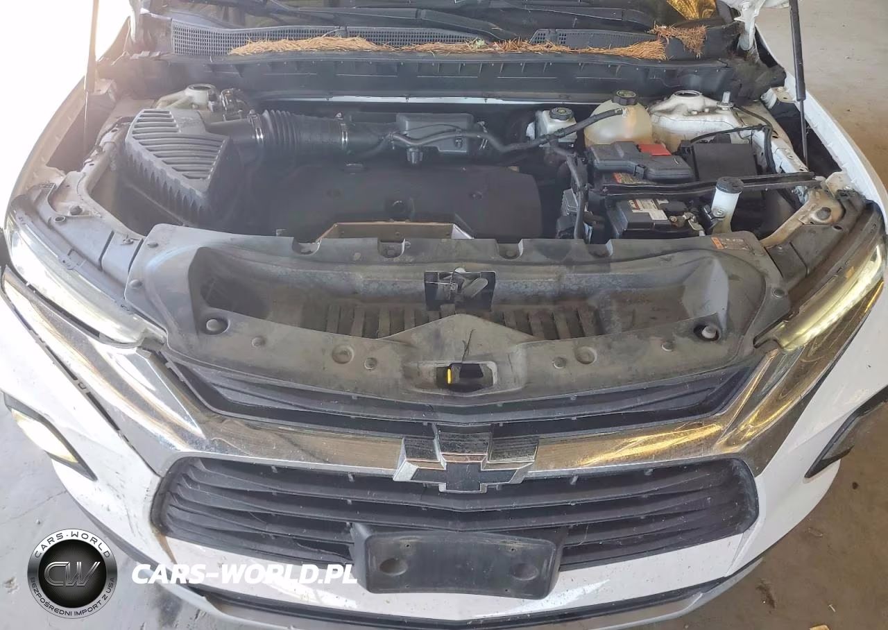 2019 Chevrolet Blazer 1Lt VIN:3GNKBBRA1KS691861 - 12