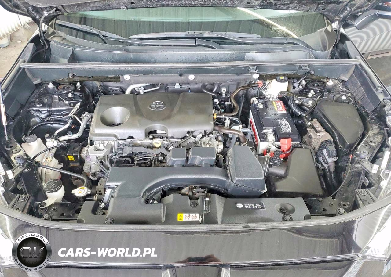 2025 Toyota Rav4 Xle VIN:2T3W1RFV5SC329954 - 12