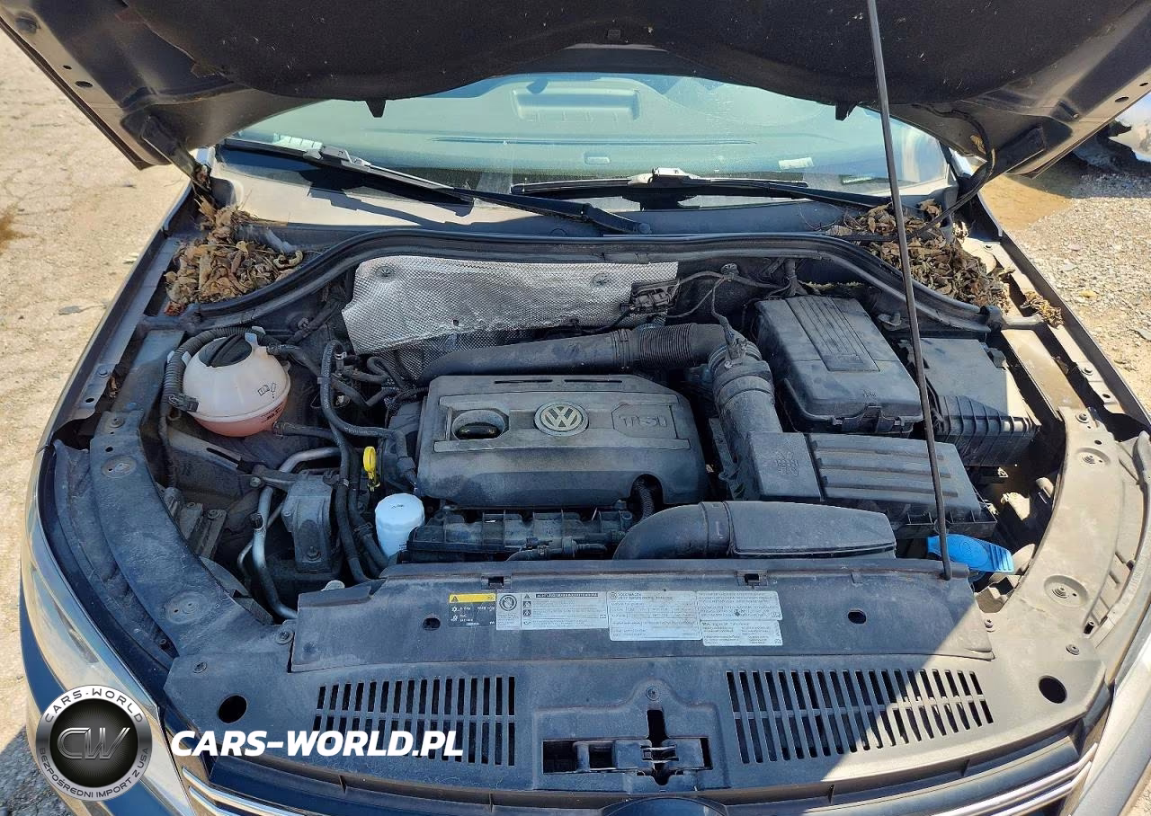 2014 Volkswagen Tiguan VIN:WVGBV3AX9EW523251 - 12