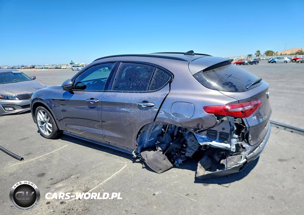 2019 Alfa Romeo Stelvio VIN:ZASPAKAN5K7C30118 - 2