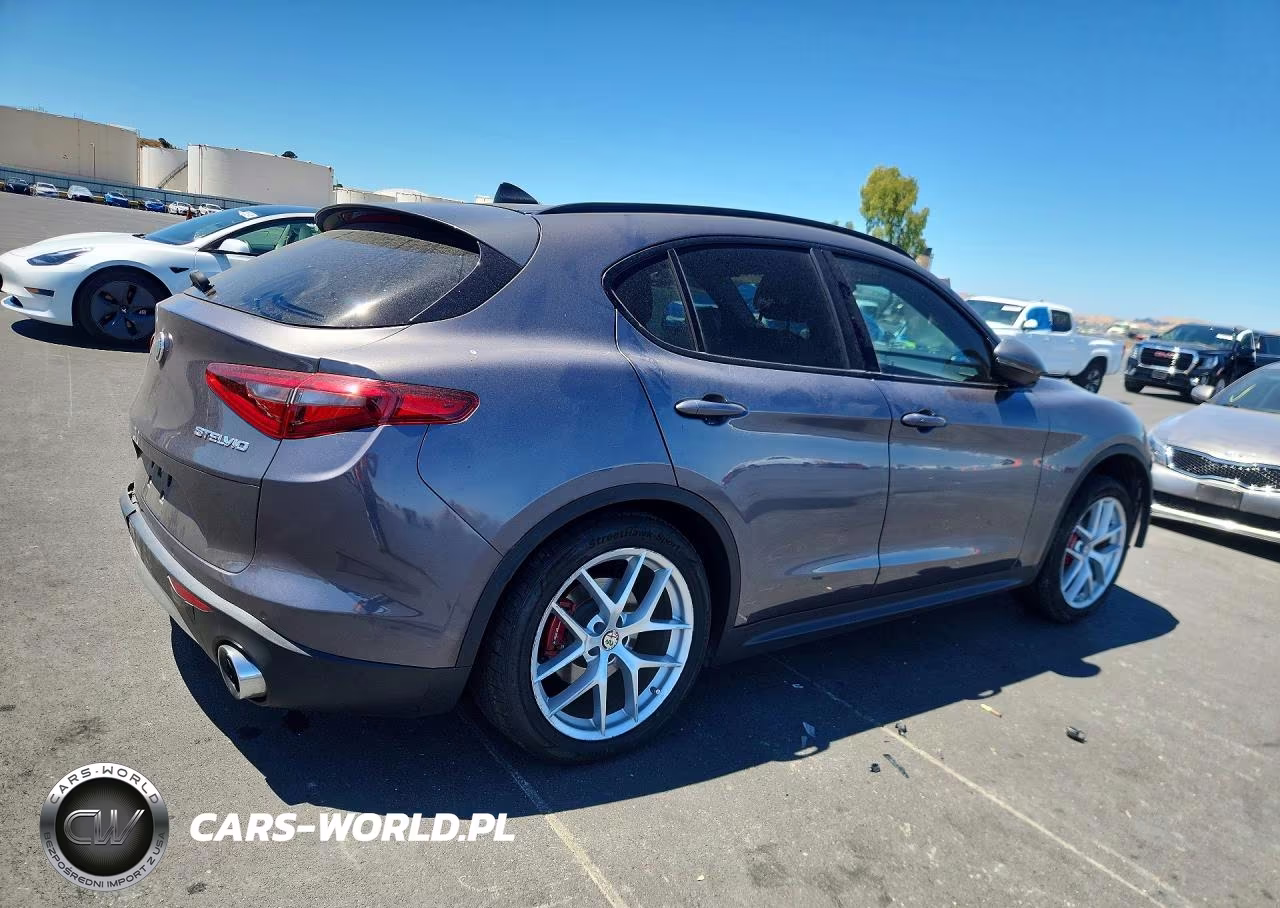 2019 Alfa Romeo Stelvio VIN:ZASPAKAN5K7C30118 - 3
