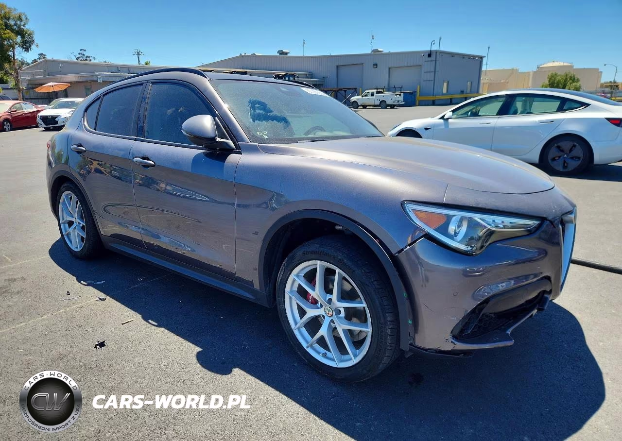2019 Alfa Romeo Stelvio VIN:ZASPAKAN5K7C30118 - 4