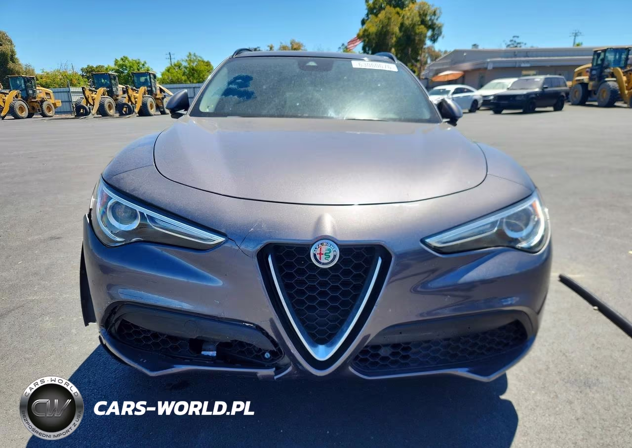 2019 Alfa Romeo Stelvio VIN:ZASPAKAN5K7C30118 - 5