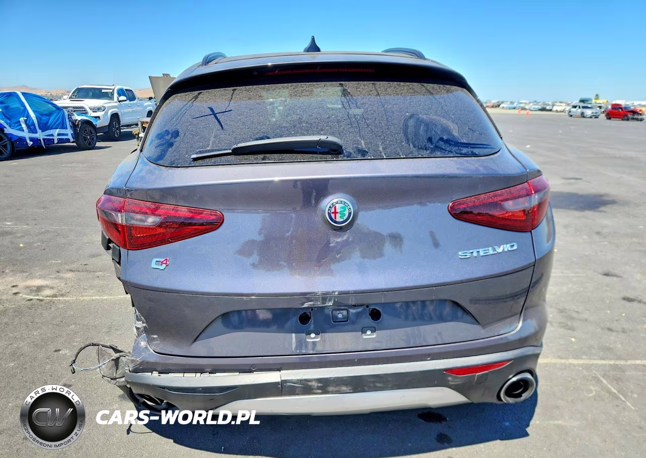 2019 Alfa Romeo Stelvio VIN:ZASPAKAN5K7C30118 - 6