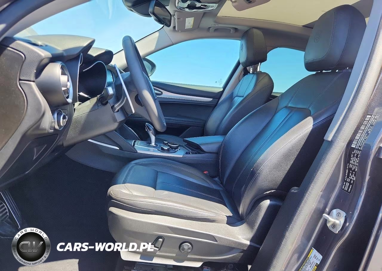 2019 Alfa Romeo Stelvio VIN:ZASPAKAN5K7C30118 - 7