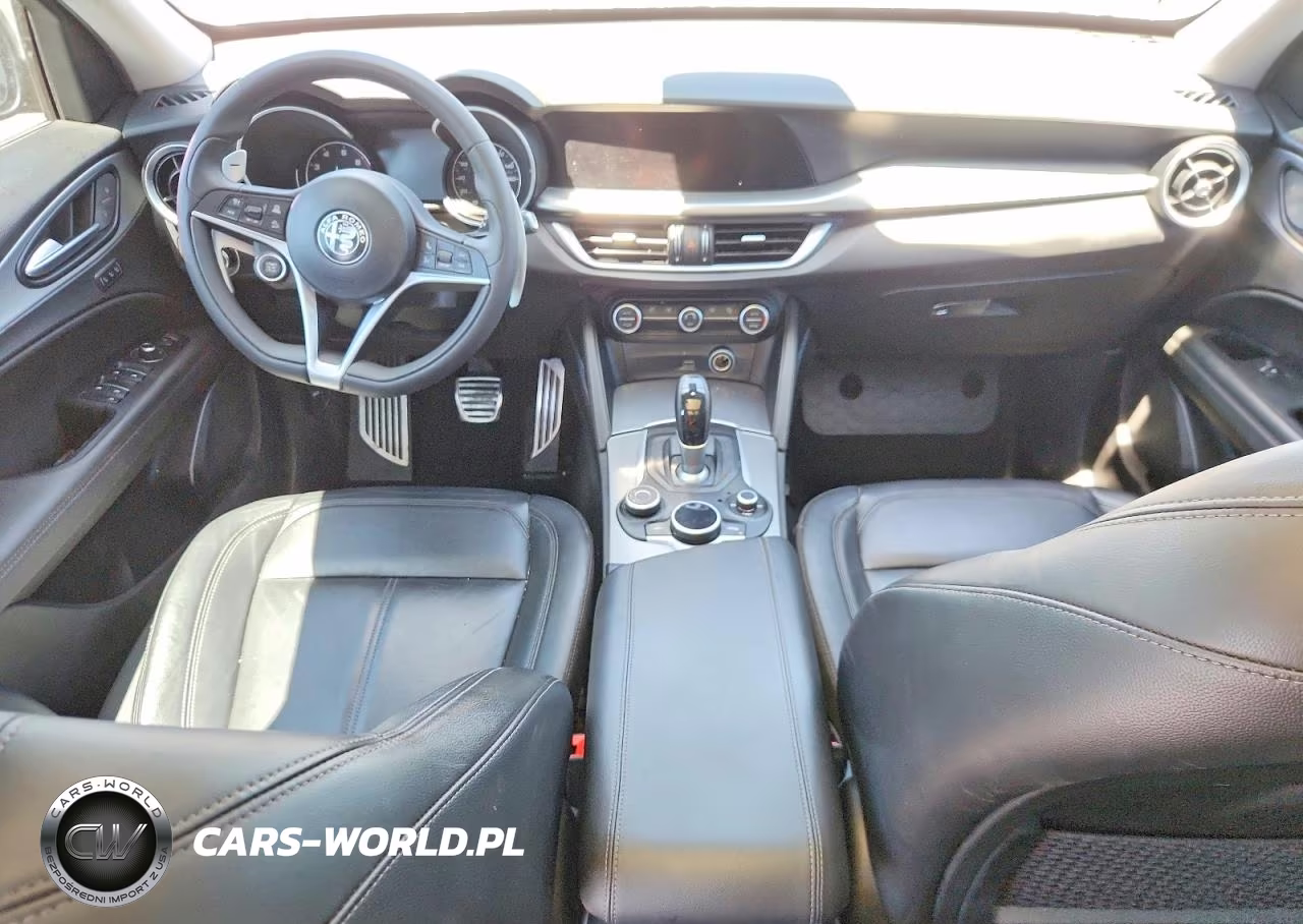 2019 Alfa Romeo Stelvio VIN:ZASPAKAN5K7C30118 - 8