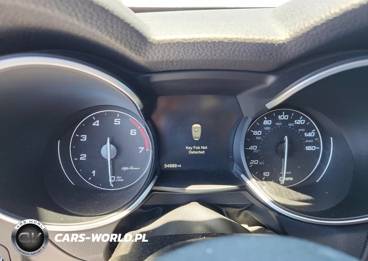 2019 Alfa Romeo Stelvio VIN:ZASPAKAN5K7C30118 - 9