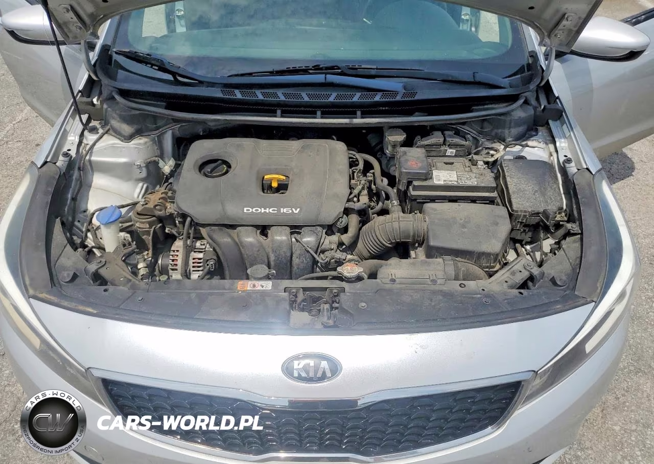 2018 Kia Forte Lx VIN:3KPFK4A79JE209785 - 11