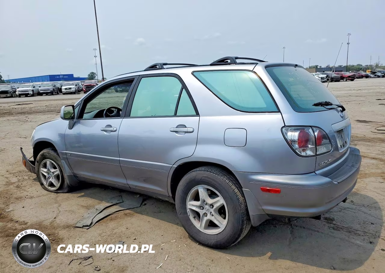 2002 Lexus Rx 300 VIN:JTJHF10U920263596 - 2