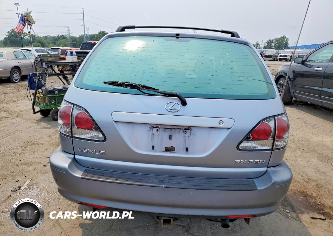 2002 Lexus Rx 300 VIN:JTJHF10U920263596 - 6