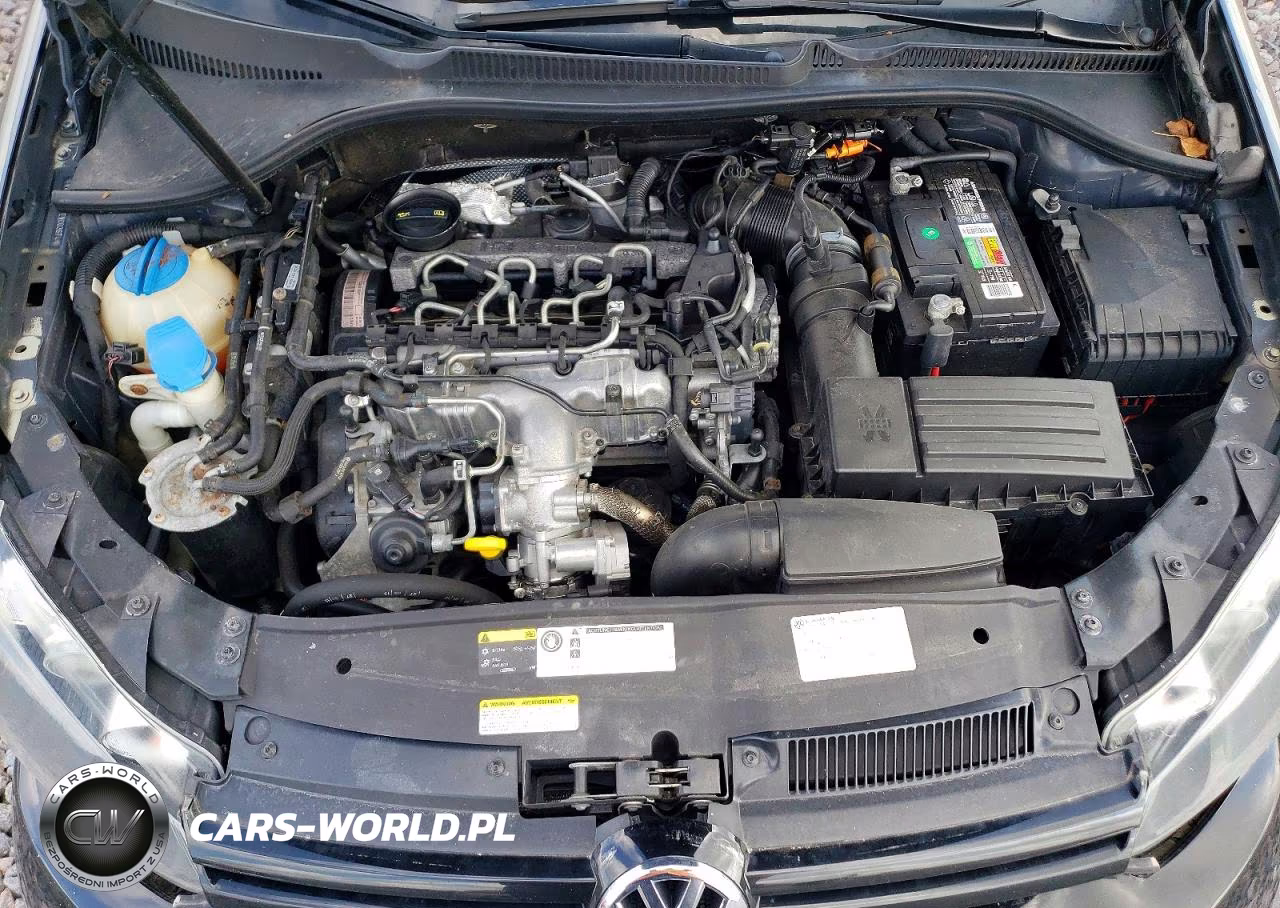 2014 Volkswagen Golf VIN:WVWDM7AJ8EW003674 - 11
