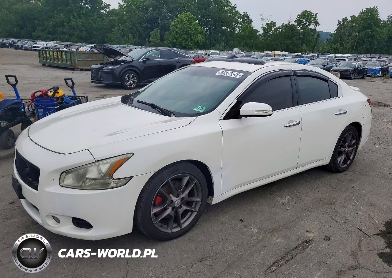 2010 Niss Maxima – zdjęcie 1 z 12