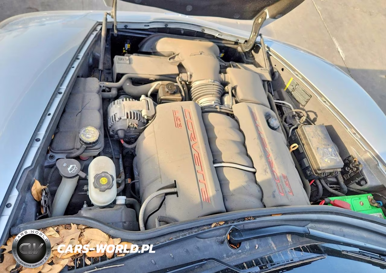2009 Chevrolet Corvette VIN:1G1YY26W695101295 - 11